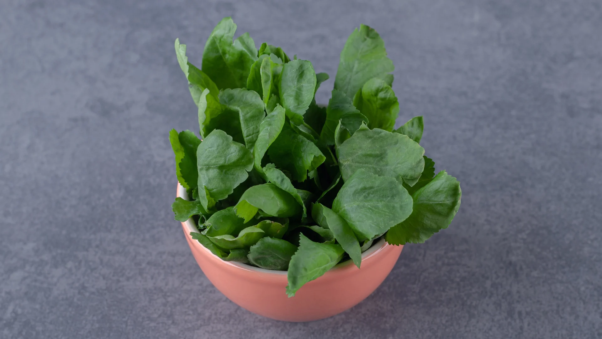 Brahmi